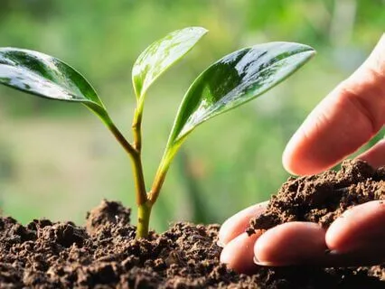 Cherish The Abundance In Your Life