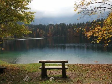 Cherish Your Blessings - You Are Truly Fortunate