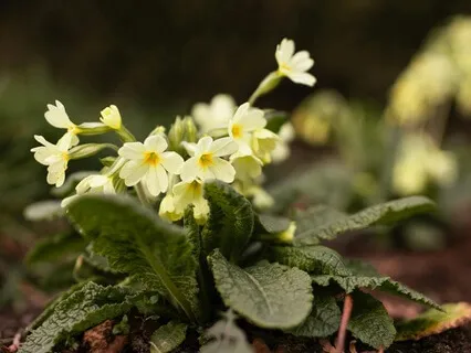 Cherishing The Gift Of Life - February 26