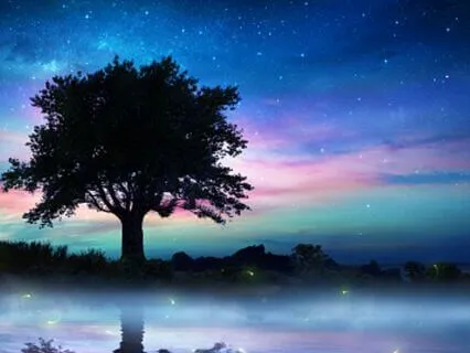 Chi Healing 285Hz: Deep Sleep Rest Restore Heal