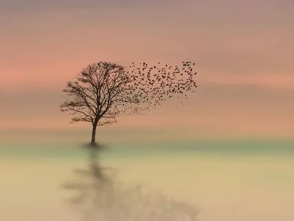 Chi Mastery Meditation For Anxiety Release