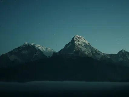 Chicago "L" Transit System Sleep Facts