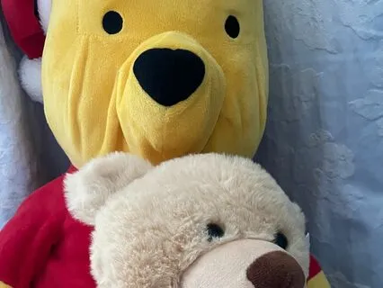 Child Bedtime Story - Winnie The Pooh Piglet Water A.A.Milne