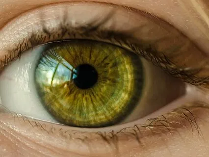 Child's Eye Mindfulness Meditation