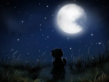 Child Sleep Story About Having A New Sibling