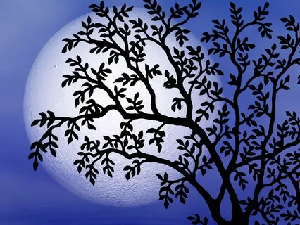 Child Sleep Story For Self-Esteem