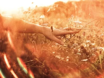 Childhood Trauma Healing Meditation