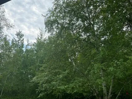 Child-Like Curiosity