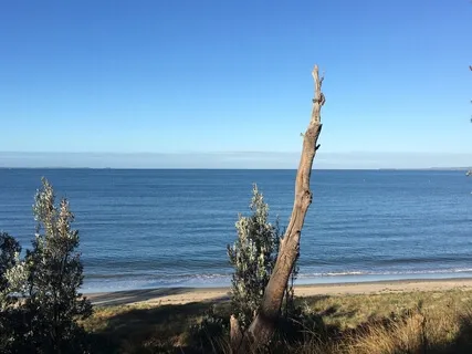 Children Of The Earth