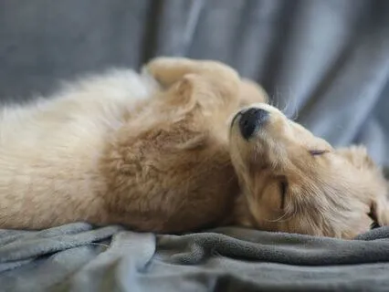 Children's Meditation