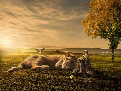 Children's Animal Kingdom Meditation