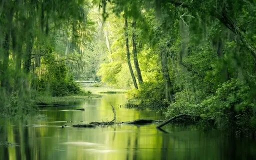 Children's Bedtime Story The Magical Farm