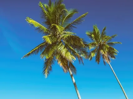 Chill On The Inside & Out