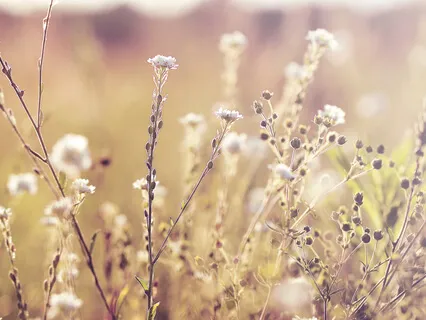 Chill Out For Thirty