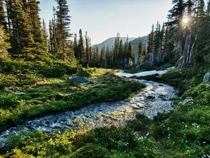 Chimes & Tibetan Singing Bowls By A Stream
