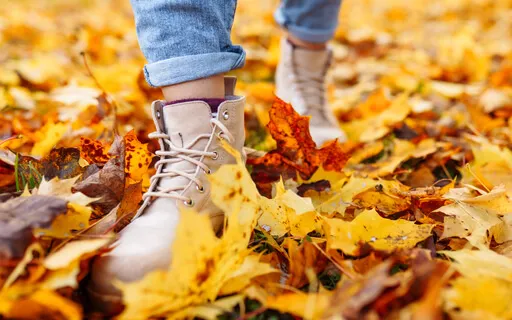 Chinese Medicine Health Tips For Autumn