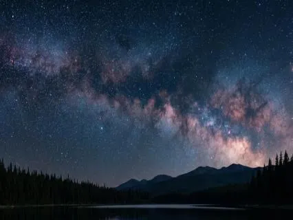 Echoes of Tranquility: Bass Solo Meditation for Deep Rest