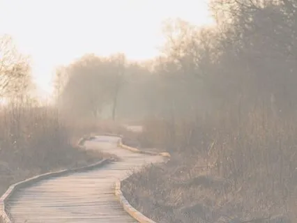 Choice Point Activation