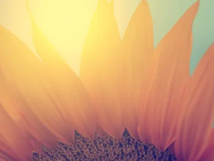 Choiceless Awareness