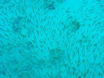 Choose life where there is challenge