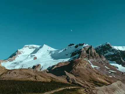 Choose Non Dual Bliss