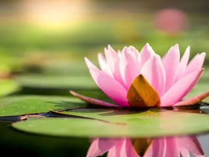 Choose The Truth As The Only Reality