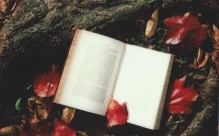 Choose Your Own Adventure With Christ