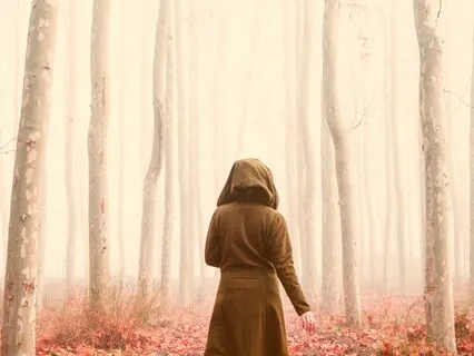 Choose Your Own Adventure