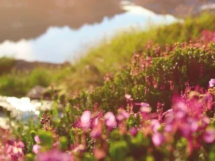 Choosing Compassion For Yourself And Others