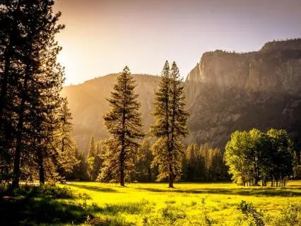 Choosing Happiness Every Day: Morning Subliminal