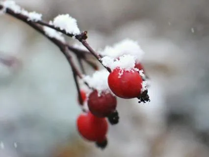 Choosing Kindness Over Ego- Jan 07