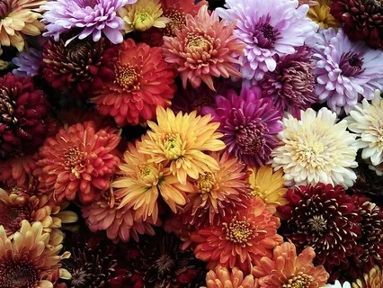 Choosing Love Every Day - November 13