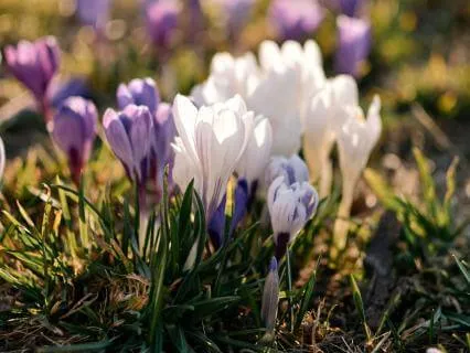 Choosing Love One Small Decision At A Time  - Feb 16