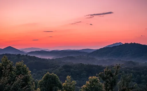 Choosing The Path Of Love