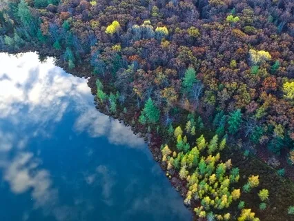 Choosing The Peace Deep Within