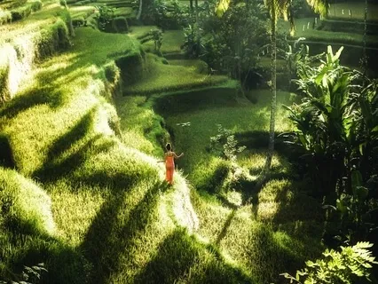 Choosing Your Best Self