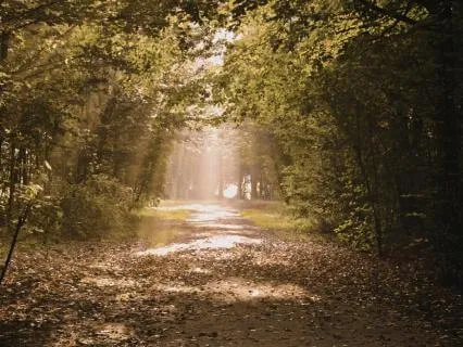 Choosing Your Highest Timeline