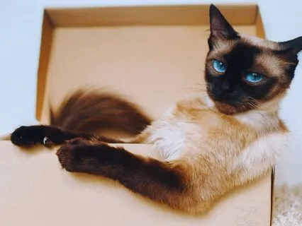 Choosing Yourself Without Guilt