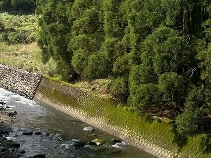 Chop Wood, Carry Water