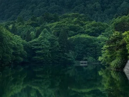 Chopin For Meditation