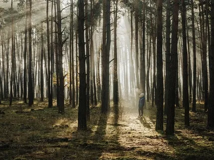 Chopin - Nocturne Op.9 No.2