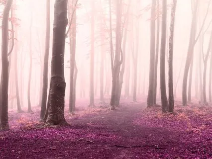 Chopin Op. 27: Dreamlike Reverie | Slowed And Reverb