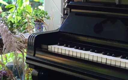 Chopin's Blissful Piano (Nocturne Op.72 No.1)