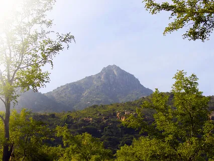 Chosen - The Power Of Arunachala Siva