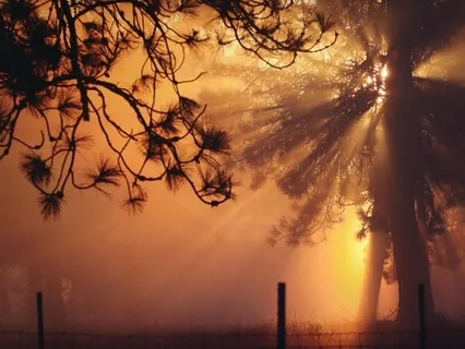 Christ Consciousness