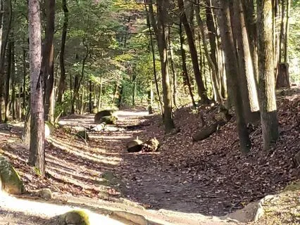 Christian Affirmations For Confidence / Living Victoriously