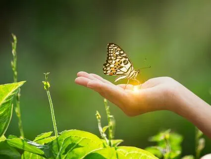 Christian Devotional: "Being Safe"