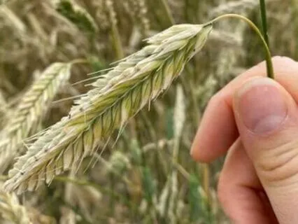 Christian Devotional: "The Spirit Of Generosity"