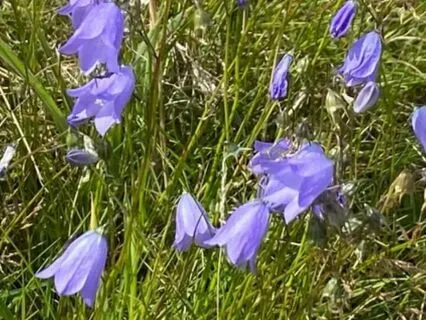 Christian Devotional: How To Respond And Not React