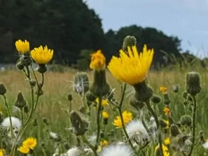 Christian Devotional: When It Hurt So Bad